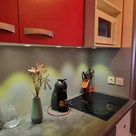 Cosy Au Pied Des Pistes - Vue Mont-blanc - Animaux Admis - Fr-1-181-2700 La Plagne